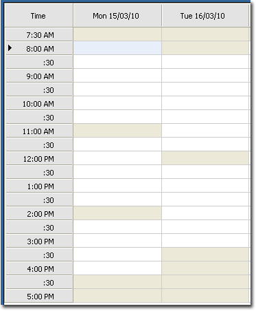 Example appointment book session plan, showing times when appointments can be booked for practitioners