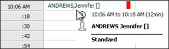 Example details in the appointment book when you hover on an appointment